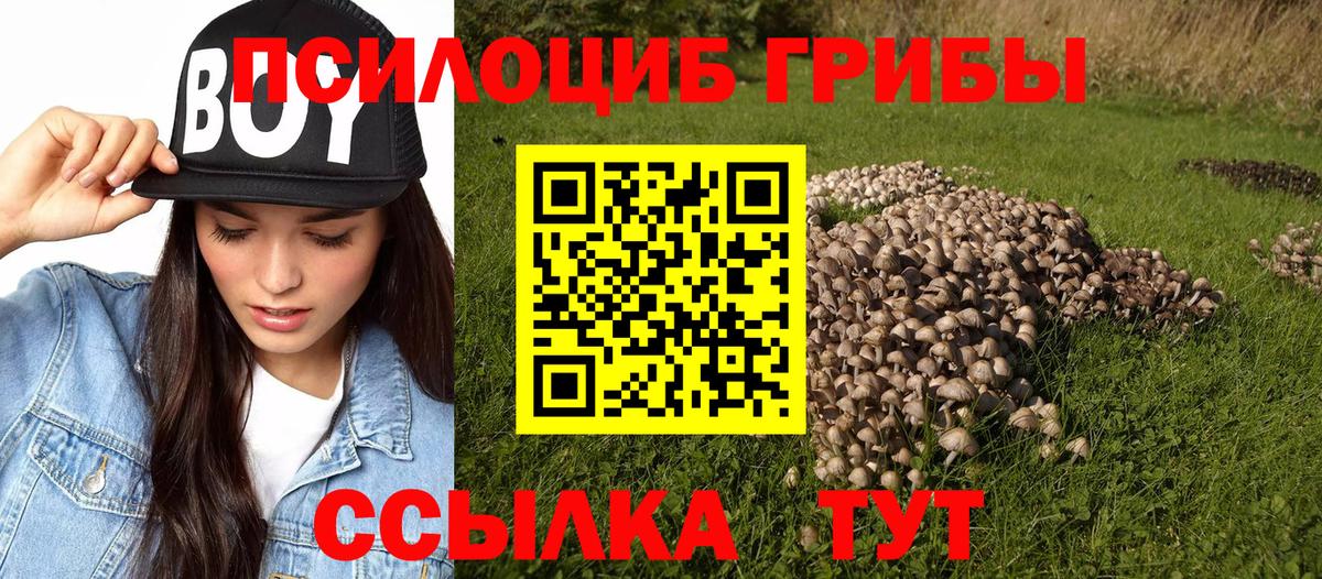 Псилоцибиновые грибы GOLDEN TEACHER Сухой Лог