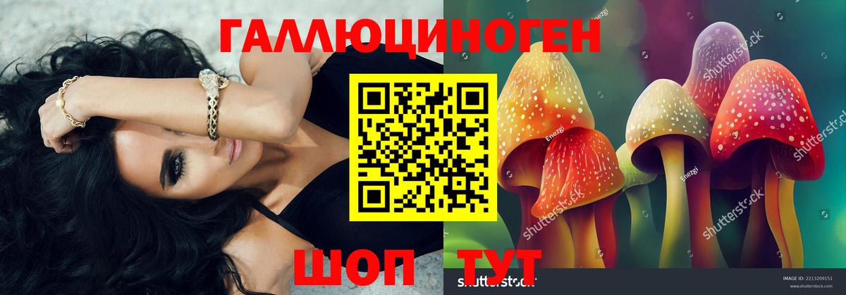 Галлюциногенные грибы GOLDEN TEACHER  Псилоцибиновые грибы MAGIC MUSHROOMS  Сухой Лог  Вход с VPN 
